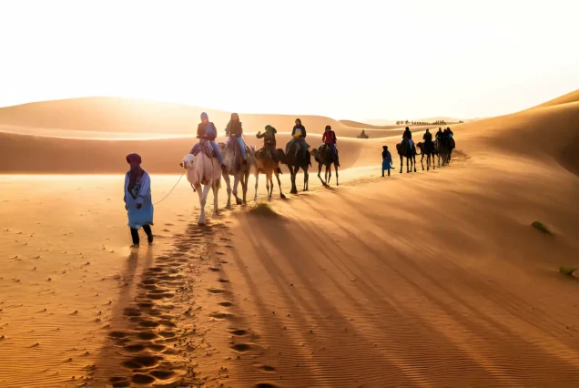 Excursión De 7 Días De Fez Al Desierto De Merzouga Y Marrakech